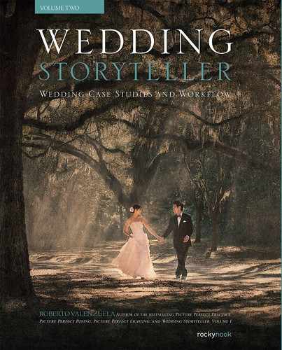 Cover image for Wedding Storyteller, Volume 2