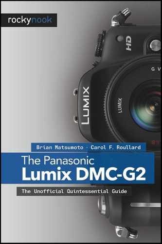 The Panasonic Lumix DMC-G2 