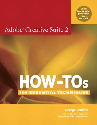 Cover image for Adobe Creative Suite 2 How-Tos: 100 Essential Techniques