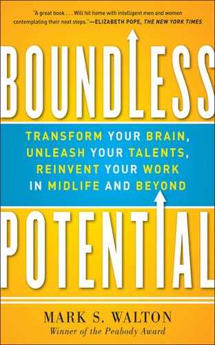 Boundless Potential:  Transform Your Brain, Unleash Your Talents, Reinvent Your Work in Midlife and Beyond 