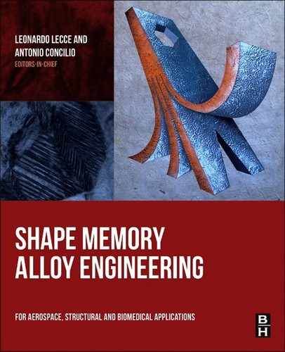 Shape Memory Alloy Engineering 