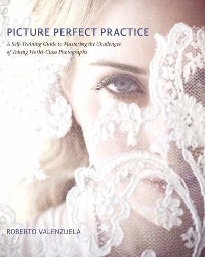 Cover image for Picture Perfect Practice: A Self-Training Guide to Mastering the Challenges of Taking World-Class Photographs