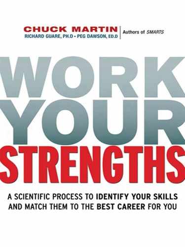 Cover image for Work Your Strengths