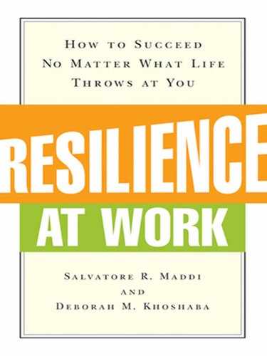Cover image for Resilience at Work