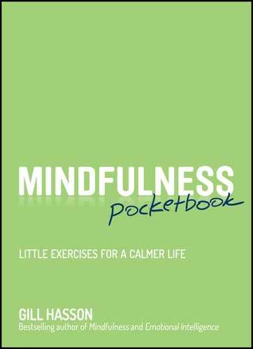 Mindfulness Pocketbook: Little Exercises for a Calmer Life 