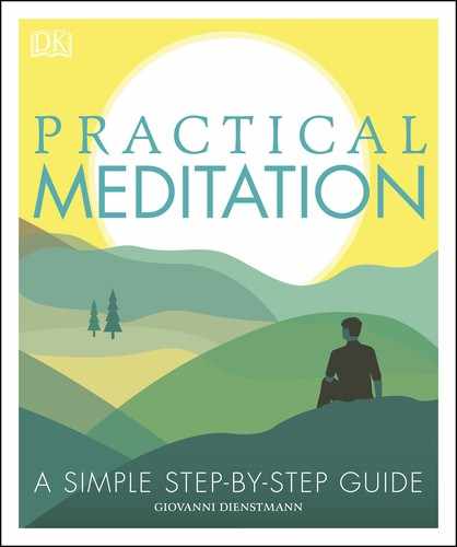 Practical Meditation by Giovanni Dienstmann