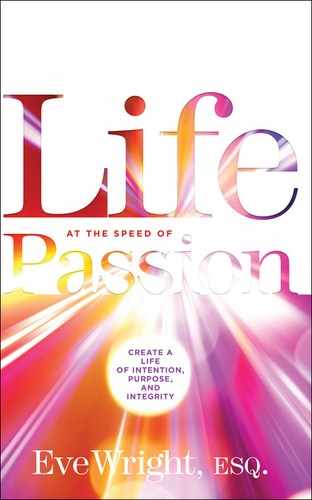 Life at the Speed of Passion 