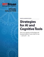 Strategies for AI and Cognitive Tools 