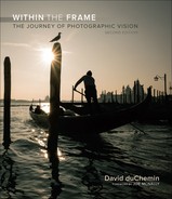 Within the Frame: The Journey of Photographic Vision, Second Edition 