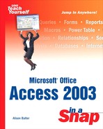 Cover image for Microsoft Office Access 2003 in a Snap