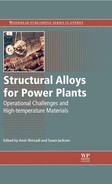 Cover image for Structural Alloys for Power Plants