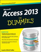 Access 2013 For Dummies 