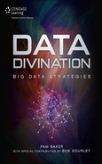 Cover image for Data Divination: Big Data Strategies