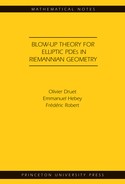 Blow-up Theory for Elliptic PDEs in Riemannian Geometry (MN-45) 