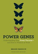 Power Genes: Understanding Your Power Persona--and How to Wield It at Work 