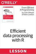 Efficient data processing with R 