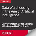 Cover image for Data Warehousing in the Age of Artificial Intelligence