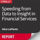 Speeding from Data to Insight in Financial Services 