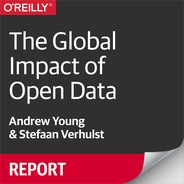The Global Impact of Open Data 