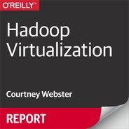 Hadoop Virtualization 
