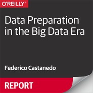 Data Preparation in the Big Data Era 
