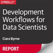 Development Workflows for Data Scientists 