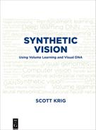Synthetic Vision 