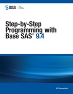 Input SAS Data Set for Examples