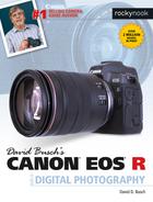 Cover image for David Busch's Canon EOS R Guide to Digital Photography