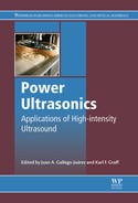 Cover image for Power Ultrasonics