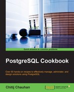 PostgreSQL Cookbook 