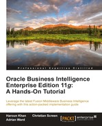 Cover image for Oracle Business Intelligence Enterprise Edition 11g: A Hands-On Tutorial