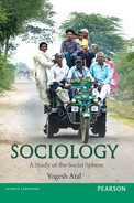 Cover image for Sociology