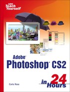SAMS Teach Yourself Adobe® Photoshop® CS2 in 24 Hours 