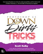 Cover image for PHOTOSHOP® CS DOWN & Dirty TRICKS