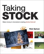 Cover image for Taking Stock: Make money in microstock creating photos that sell