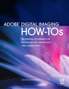 Adobe Digital Imaging How-Tos: 100 Essential Techniques for Photoshop CS5, Lightroom 3, and Camera Raw 6 