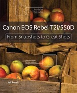 Cover image for Canon EOS Rebel T2i / 550D: From Snapshots to Great Shots