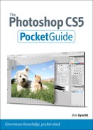 The Photoshop CS5 Pocket Guide 