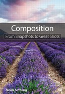 Cover image for Composition: From Snapshots to Great Shots
