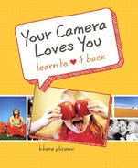 Cover image for Your Camera Loves You: Learn to Love It Back