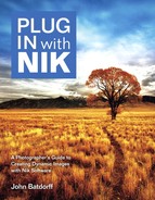 Plug In with Nik: A Photographer’s Guide to Creating Dynamic Images with Nik Software 