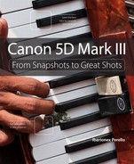 Cover image for Canon 5D Mark III: From Snapshots to Great Shots