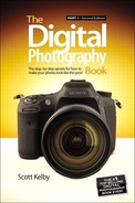 The Digital Photography Book: Part 1, Second Edition 