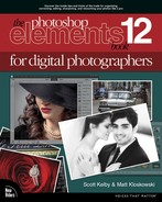 The Photoshop® Elements 12 Book for Digital Photographers 