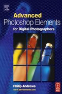 Cover image for Advanced Photoshop Elements for Digital Photographers