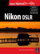 Cover image for Nikon DSLR: The Ultimate Photographer's Guide