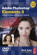 Adobe Photoshop Elements 8: Maximum Performance 