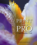 Print Like a Pro: A Digital Photographer’s Guide 