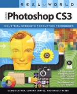 Cover image for Real World Adobe Photoshop CS3: Industrial-Strength Production Techniques